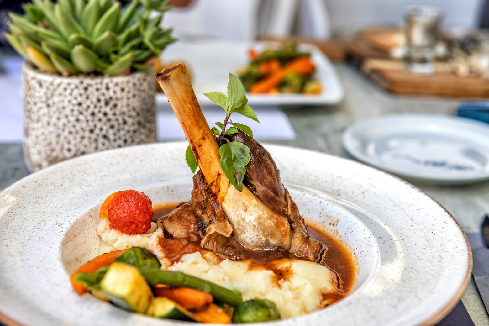 Traditional Cyprus cuisine and drinks